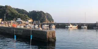 千葉の勝浦の貸切クルーザー海釣り！