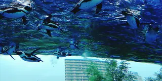 【雨の日デートプラン】池袋サンシャインシティを１日遊びつくす