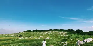 しまなみ海道から渡る高知ざっくり一周女子旅👭