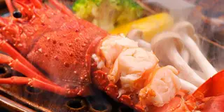 泊まろう。【静岡／伊豆】