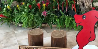 泳がないけど九十九里