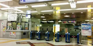 【冬の知床、流氷満喫旅】(2024年2月)北海道旅行
