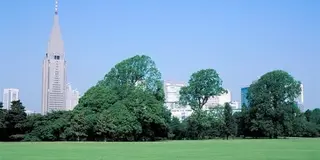 東京〜新宿御苑〜おでかけ