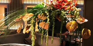 お盆を都内ですごすなら。