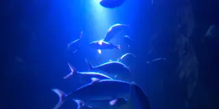下関・角島 １泊２日の旅