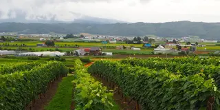 雨の富良野旅行2日目 大雨