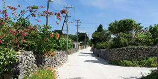 二泊三日石垣島と竹富島巡り🐠