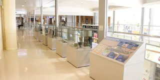 2022.12. 11〜15函館〜定山渓温泉〜札幌