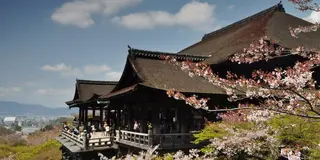 日本大好き卒業旅行