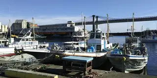 川釣り体験