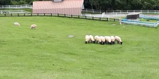 清里 撮影 ドライブ