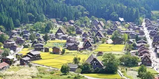 【2泊3日】初めての金沢・飛騨高山(白川郷)を周るモデルプラン