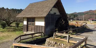 三峯神社と彼岸花をめぐりに埼玉へ日帰りひとり旅