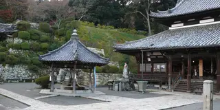 プランB　滋賀