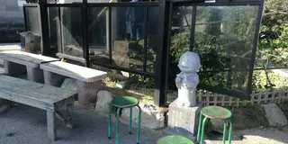 うどん県のうどん巡り