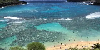 ハワイ4泊6日