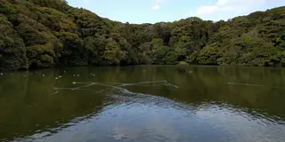 暇な休日 遠征