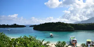 秋も楽しめる！沖縄 石垣島編