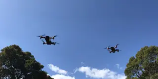 静岡アクティビティ
