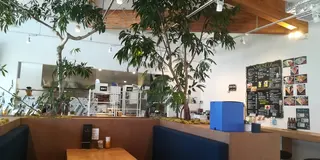 202602河津桜祭り