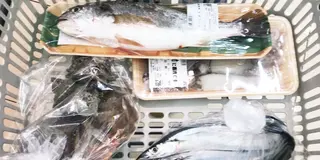 近場の無人島🌴SARUSHIMA