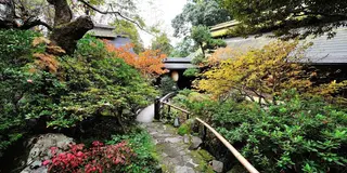 ここ東京⁈   里山歩きと温泉〜ステキ隠れ家スポットも! @あきる野・五日市