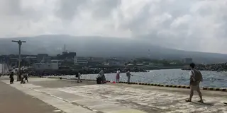 伊豆大島探索🚶‍♂️