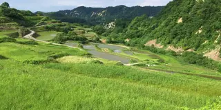 山形県大蔵村 紅葉 棚田 蕎麦 肘折温泉