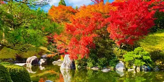 紅葉と芸術の秋🍁