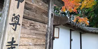 【 岩手 】季節を感じる紅葉とまったり神社とお寺巡り🍁