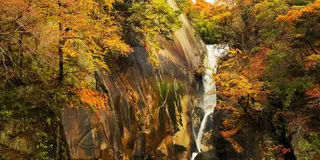 東京から日帰り。昇仙峡で紅葉の旅withわんこ