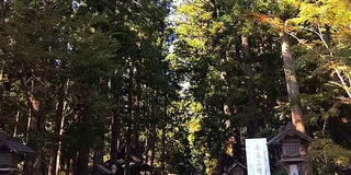 さいきん、深呼吸してますか？