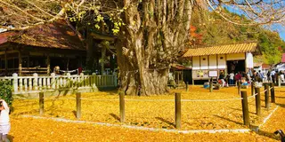 広島県内紅葉ドライブ🍁