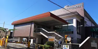向島のんびり散歩