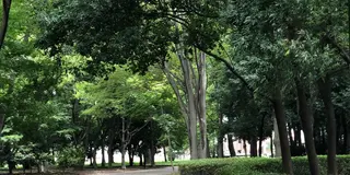 東京のはずれのステキなところ【武蔵野〜小金井】
