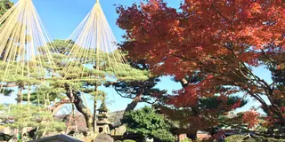 晩秋の北陸三県の旅🍁 富山 金沢 福井 プラス白川郷