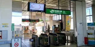 春のオープンガーデンと薬師寺を巡るポタ