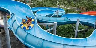 1度は行きたい！アウラニディズニープラン！