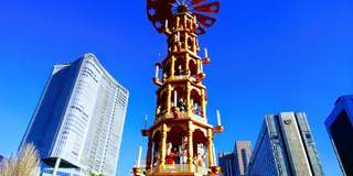 東京～横浜クリスマスツリーめぐり2018