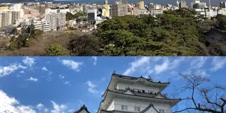 歴史の巡り(小田原)+箱根初詣