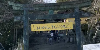 チビカとチビコの大好き巡り🧚🏻‍♂️