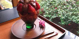 【梅が見頃！】冬の京都へ