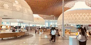 美しく芸術的な図書館への旅📖