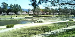 上賀茂神社2023.6/19