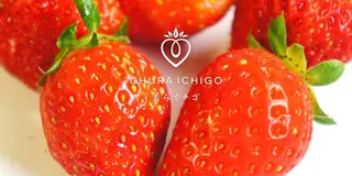 南城市でイチゴ狩りとカフェめぐり
