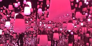 東京・千葉旅行（2泊3日）