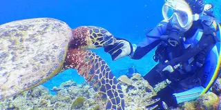 心とお腹を満たす旅🏖沖縄那覇観光にダイビング✨ひとりでもパーフェクトに楽しい3泊4日女子旅とは🎶