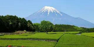 静岡長いぞ箱根旅行