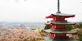 大人遠足部VOL.4 山梨の旅編