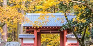 湖東三山紅葉🍁狩ツアー
